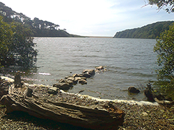 Loe Pool