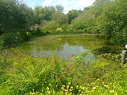 Feel Good In Nature, Nature Reserve Feel Good In Nature, Nature Reserve