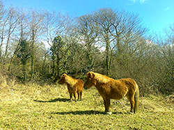 Feel Good In Nature, Nature Reserve Feel Good In Nature, Nature Reserve