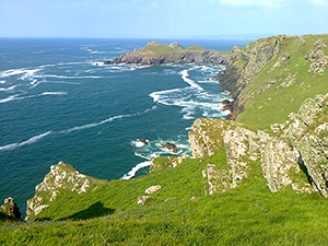 The Rumps